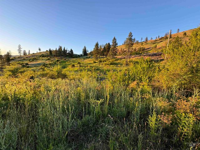 TBD Lot #3 Beaverslide Rd, Kamiah, ID 83536