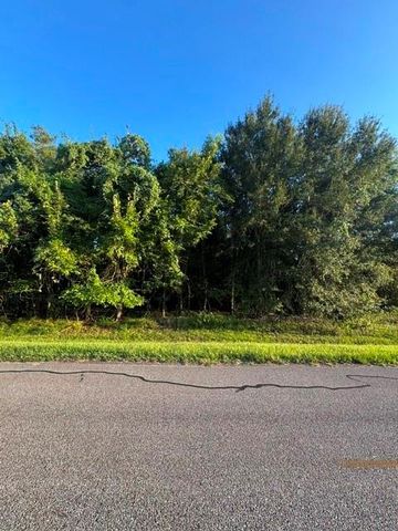 1039 W Point Drive, Rosharon, TX 77583