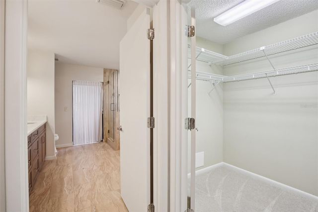 17913 CLEAR LAKE DRIVE, Lutz, FL 33548