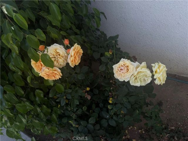 12780 Fremontia, Grand Terrace, CA 92313
