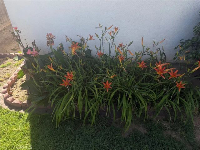 12780 Fremontia, Grand Terrace, CA 92313