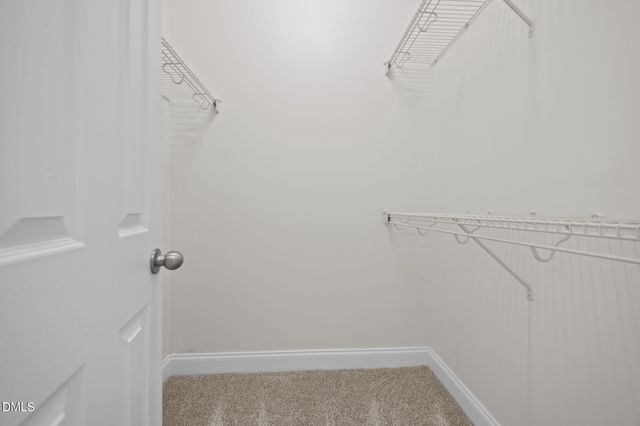 2305 Dunlin Lane, Raleigh, NC 27614