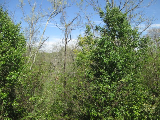 3988 Country Mill Ridge, Burlington, KY 41005