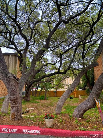 11815 Vance Jackson Rd Apt 1602, San Antonio, TX 78230