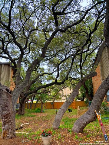 11815 Vance Jackson Rd Apt 1602, San Antonio, TX 78230