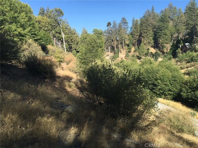29749 Redwood, Cedar Glen, CA 92321