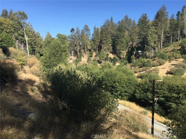 29749 Redwood, Cedar Glen, CA 92321