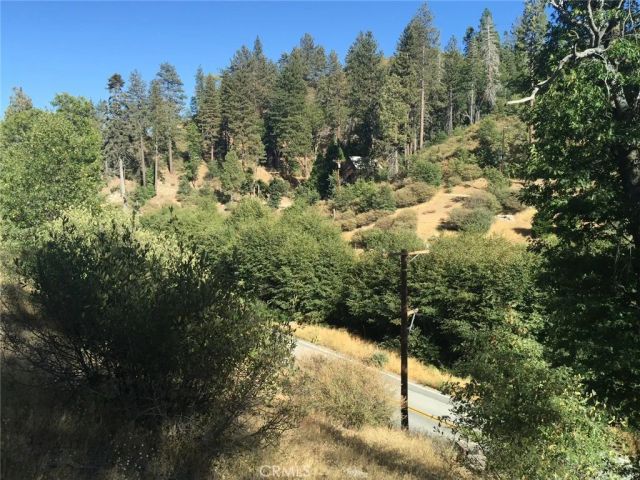 29749 Redwood, Cedar Glen, CA 92321