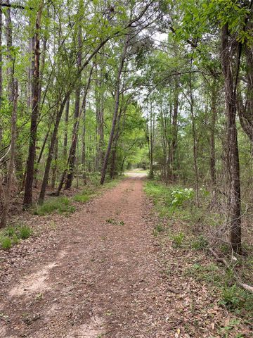 TBD Little John Street, Montgomery, TX 77316