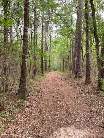 TBD Little John Street, Montgomery, TX 77316