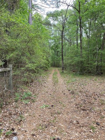 TBD Little John Street, Montgomery, TX 77316