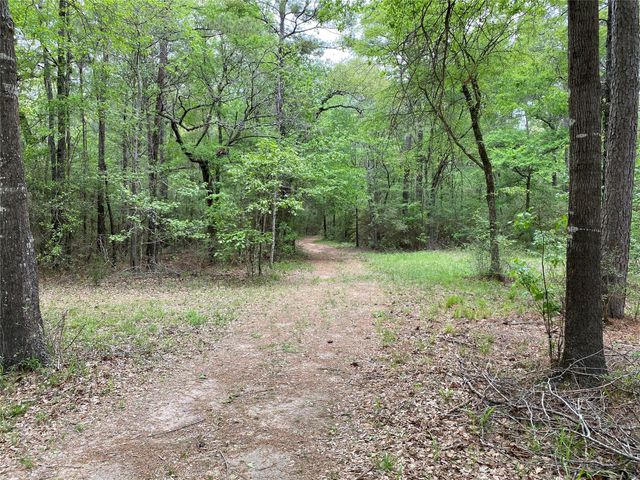 TBD Little John Street, Montgomery, TX 77316