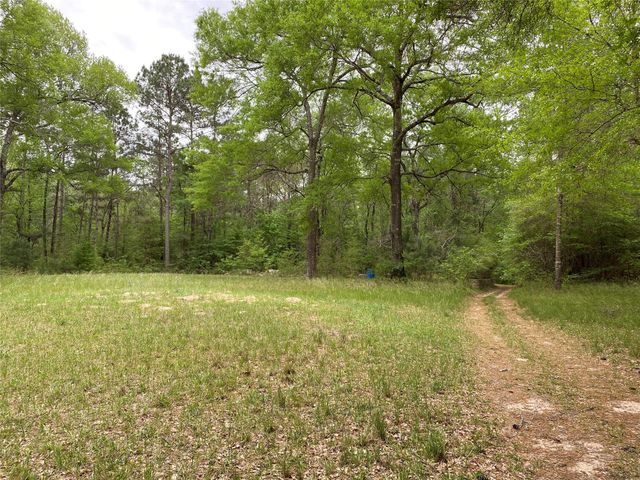 TBD Little John Street, Montgomery, TX 77316