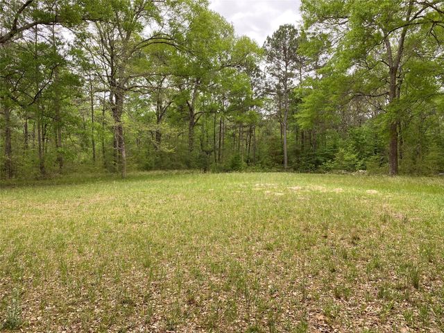 TBD Little John Street, Montgomery, TX 77316