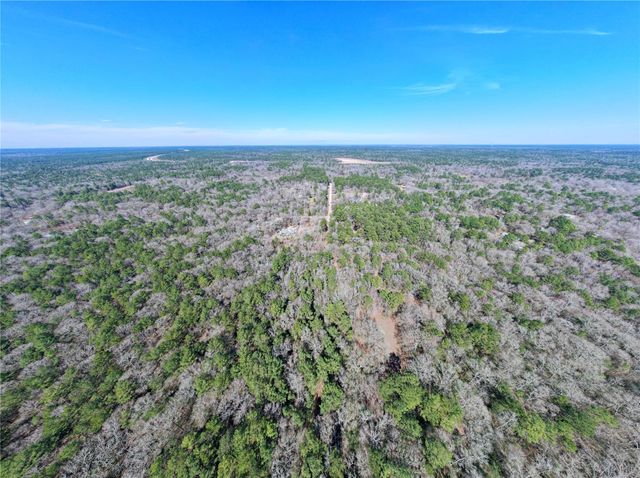 TBD Little John Street, Montgomery, TX 77316