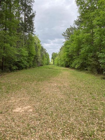 TBD Little John Street, Montgomery, TX 77316