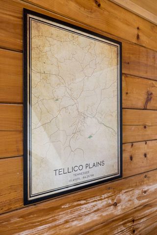 117 Skyline Drive, Tellico Plains, TN 37385