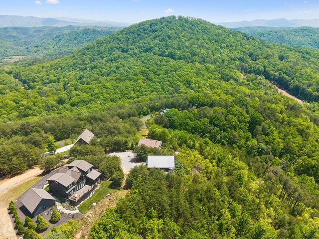117 Skyline Drive, Tellico Plains, TN 37385