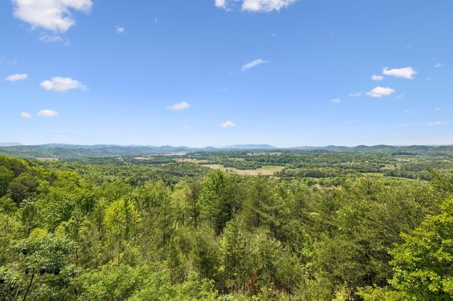 117 Skyline Drive, Tellico Plains, TN 37385