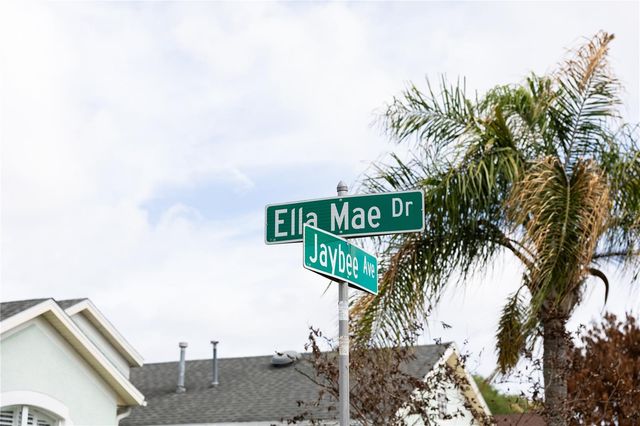 704 JAYBEE AVENUE, Davenport, FL 33897