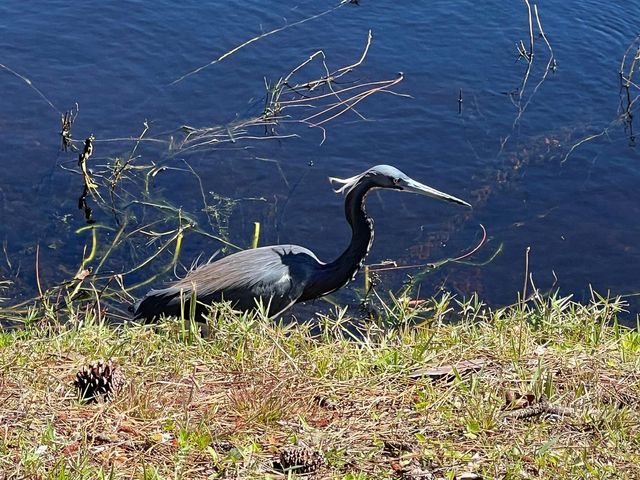 4310 Gator Trace Circle, Fort Pierce, FL 34982