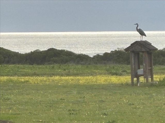 1263 Reservoir Road, Pescadero, CA 94060