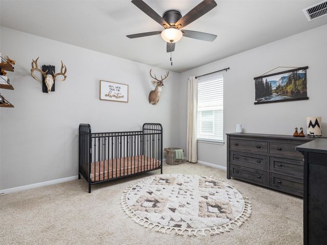 201 Bunting LN, Bertram, TX 78605