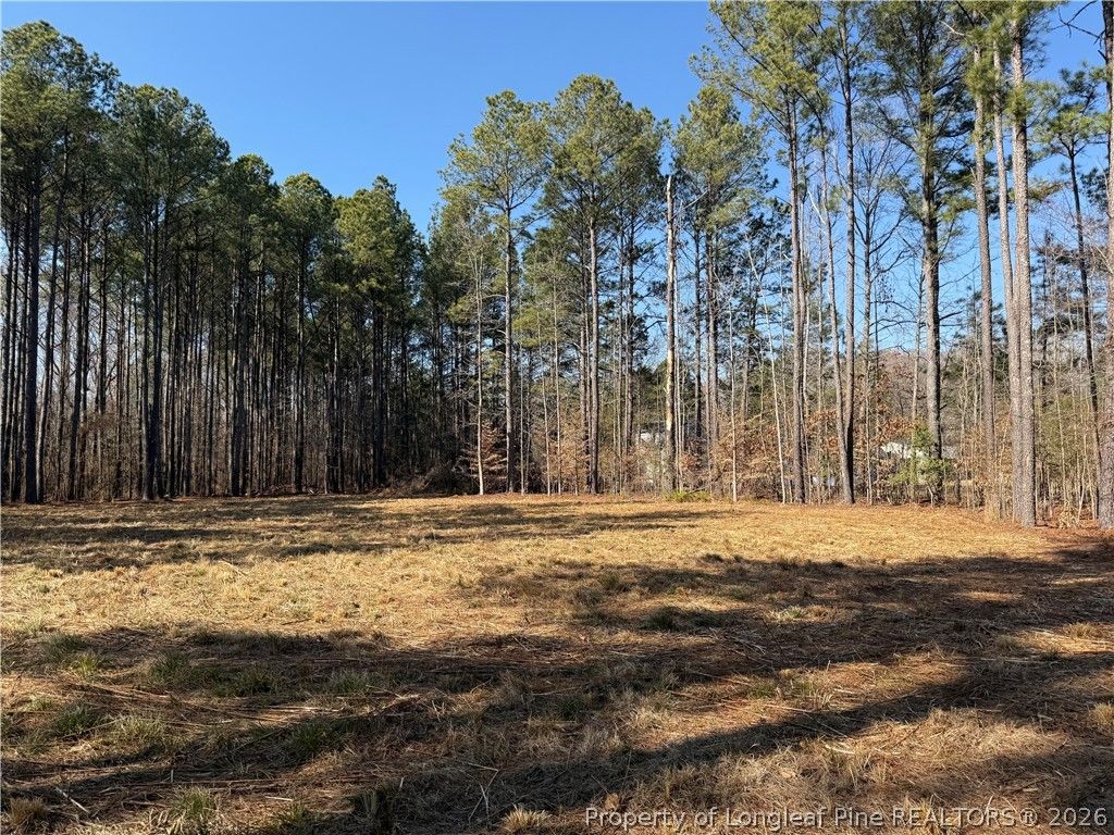 6351 Johnson Street, Fayetteville, NC 28311 — photo 11
