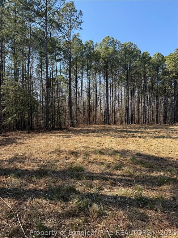 6351 Johnson Street, Fayetteville, NC 28311 — photo 12