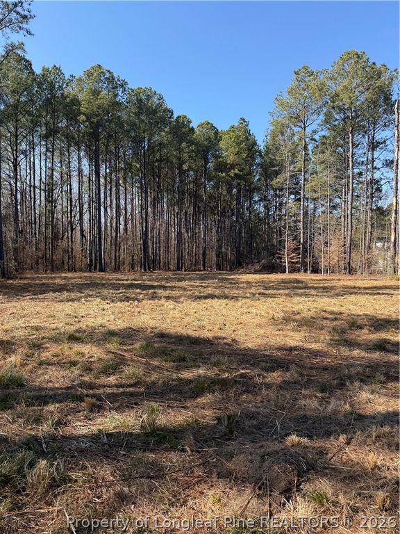 6351 Johnson Street, Fayetteville, NC 28311 — photo 13