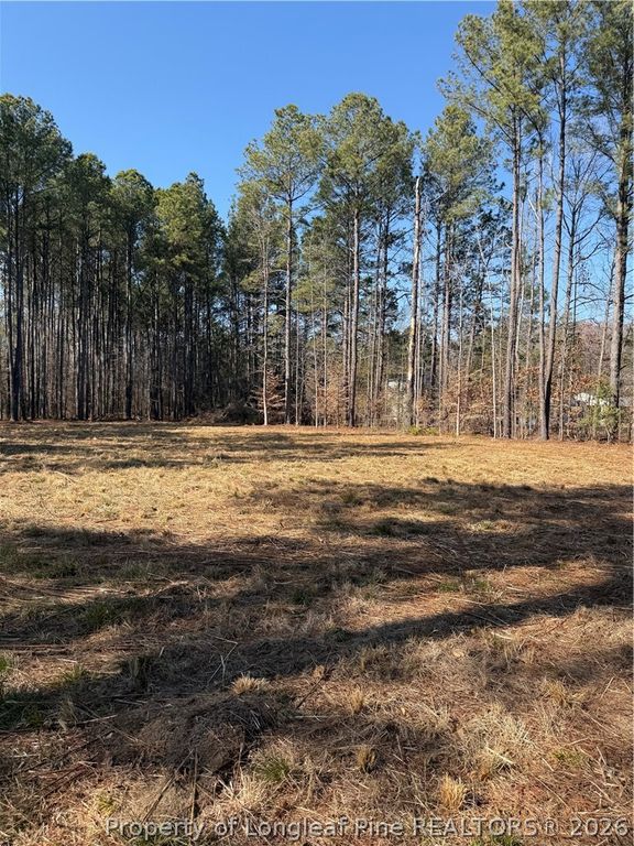 6351 Johnson Street, Fayetteville, NC 28311 — photo 14