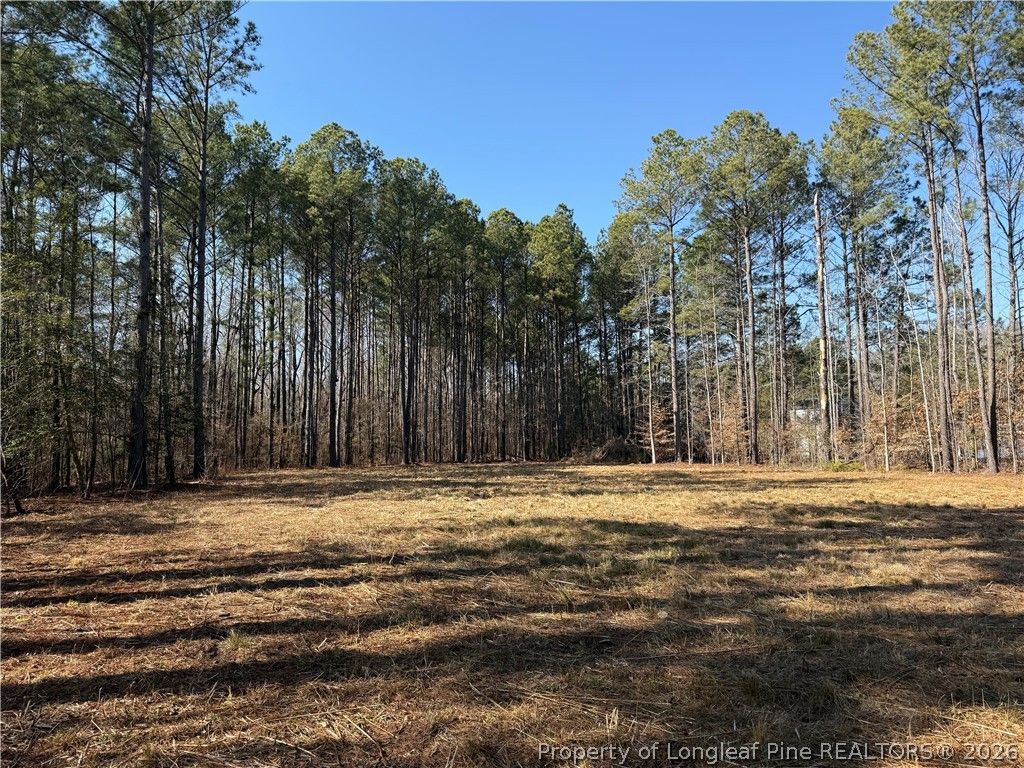 6351 Johnson Street, Fayetteville, NC 28311 — photo 3