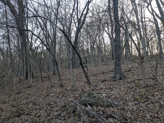 TBD Thunderbird Drive, Holiday Island, AR 72631