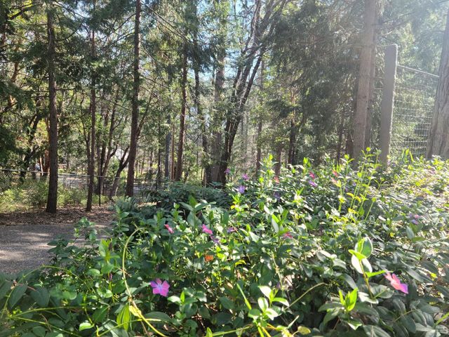 5772 Arrowhead Dr, Foresthill, CA 95631