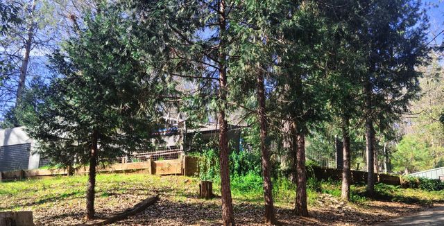 5772 Arrowhead Dr, Foresthill, CA 95631