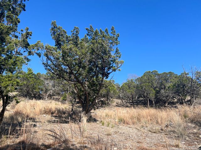 191 Scott Dr, Center Point, TX 78010