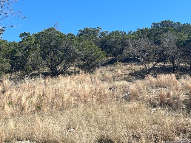 191 Scott Dr, Center Point, TX 78010