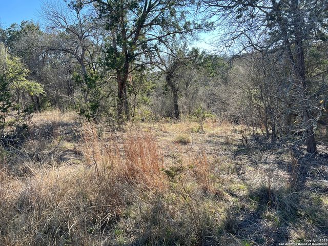 191 Scott Dr, Center Point, TX 78010