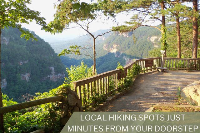 22 Carmack Road, Flintstone, GA 30725