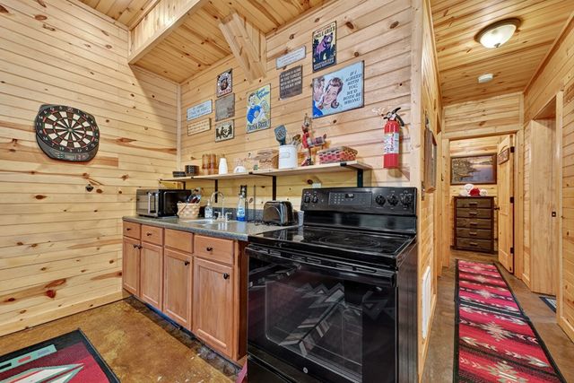 171 Mountain Lake Drive, Blue Ridge, GA 30513
