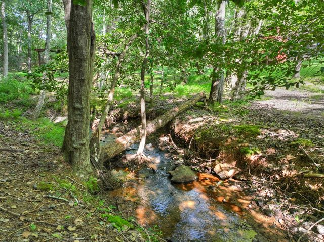 171 Mountain Lake Drive, Blue Ridge, GA 30513