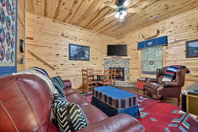 171 Mountain Lake Drive, Blue Ridge, GA 30513