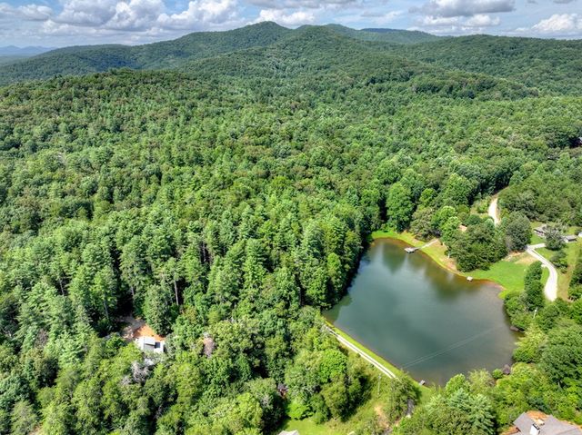 171 Mountain Lake Drive, Blue Ridge, GA 30513