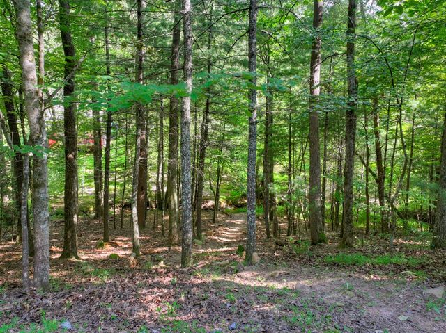 171 Mountain Lake Drive, Blue Ridge, GA 30513