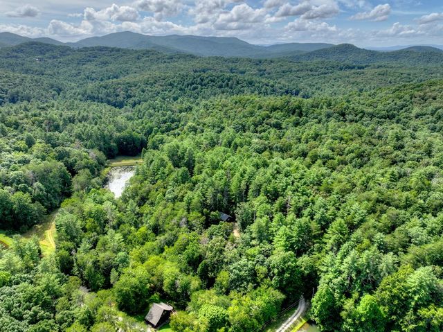 171 Mountain Lake Drive, Blue Ridge, GA 30513