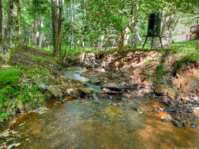 171 Mountain Lake Drive, Blue Ridge, GA 30513