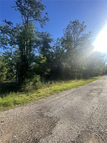 Ginger Lane, Ragley, LA 70657