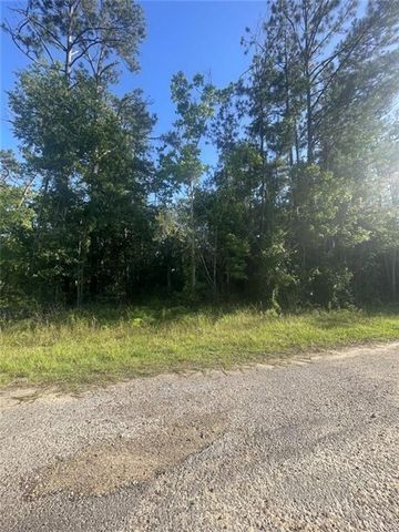 Ginger Lane, Ragley, LA 70657