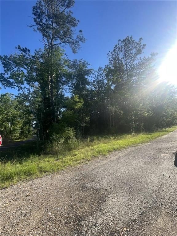 Ginger Lane, Ragley, LA 70657
