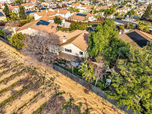 10 Kali Ct, Oakley, CA 94561